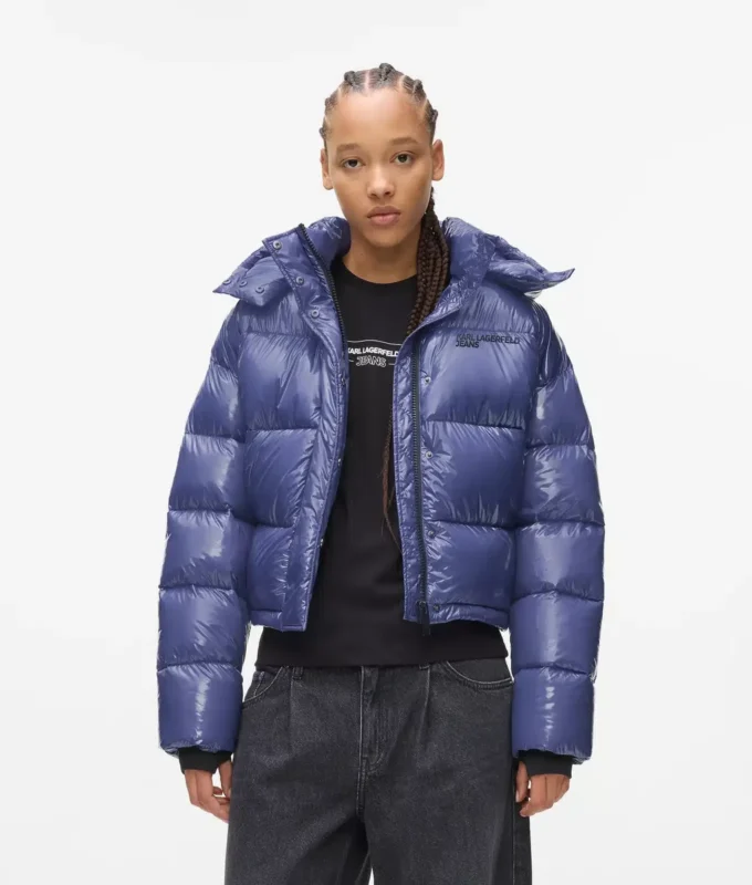 Glanzend boxy pufferjack