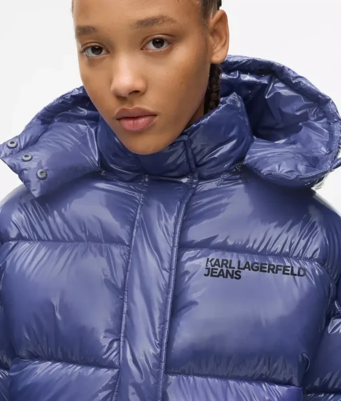 Glanzend boxy pufferjack