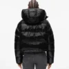 Glanzend boxy pufferjack