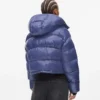 Glanzend boxy pufferjack