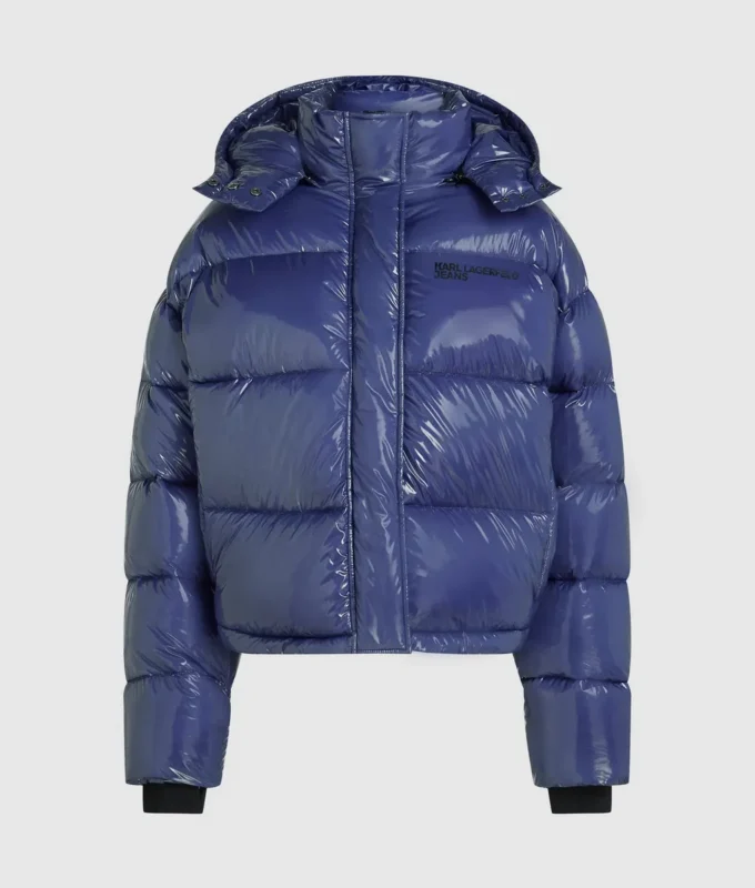 Glanzend boxy pufferjack