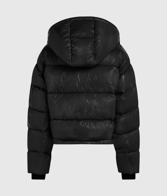 Glanzend boxy pufferjack