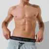 IKON BOARDSHORTS