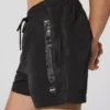 Ikon metallic boardshorts
