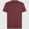 KAMEO T-SHIRT MET V-HALS